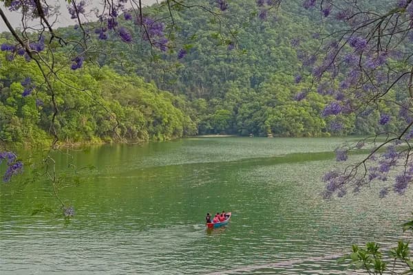 A red boat carrying passengers on green lake waters framed by blooming purple jacaranda flowers and lush green hills in Pokhara