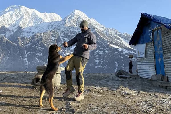 A trekker in warm gear playing with a friendly mountain dog outside a high-altitude teahouse with snow-capped Annapurna peaks in the background.