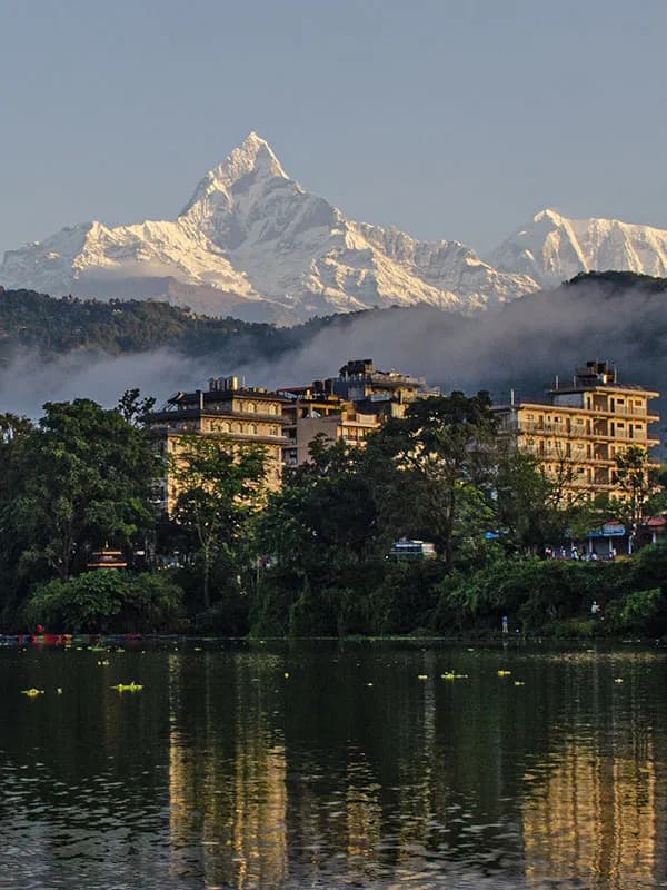 Pokhara lakeside city skyline with lush trees and snow capped Annapurna mountain range in background