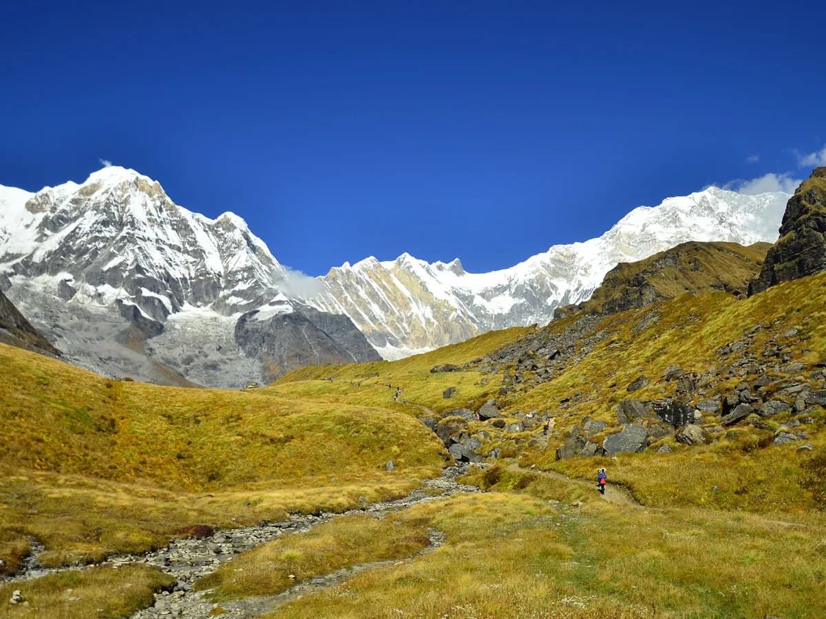 Panoramic vista of a wide mountain valley with a small stream, golden meadows, and towering snow-capped Himalayan mountains