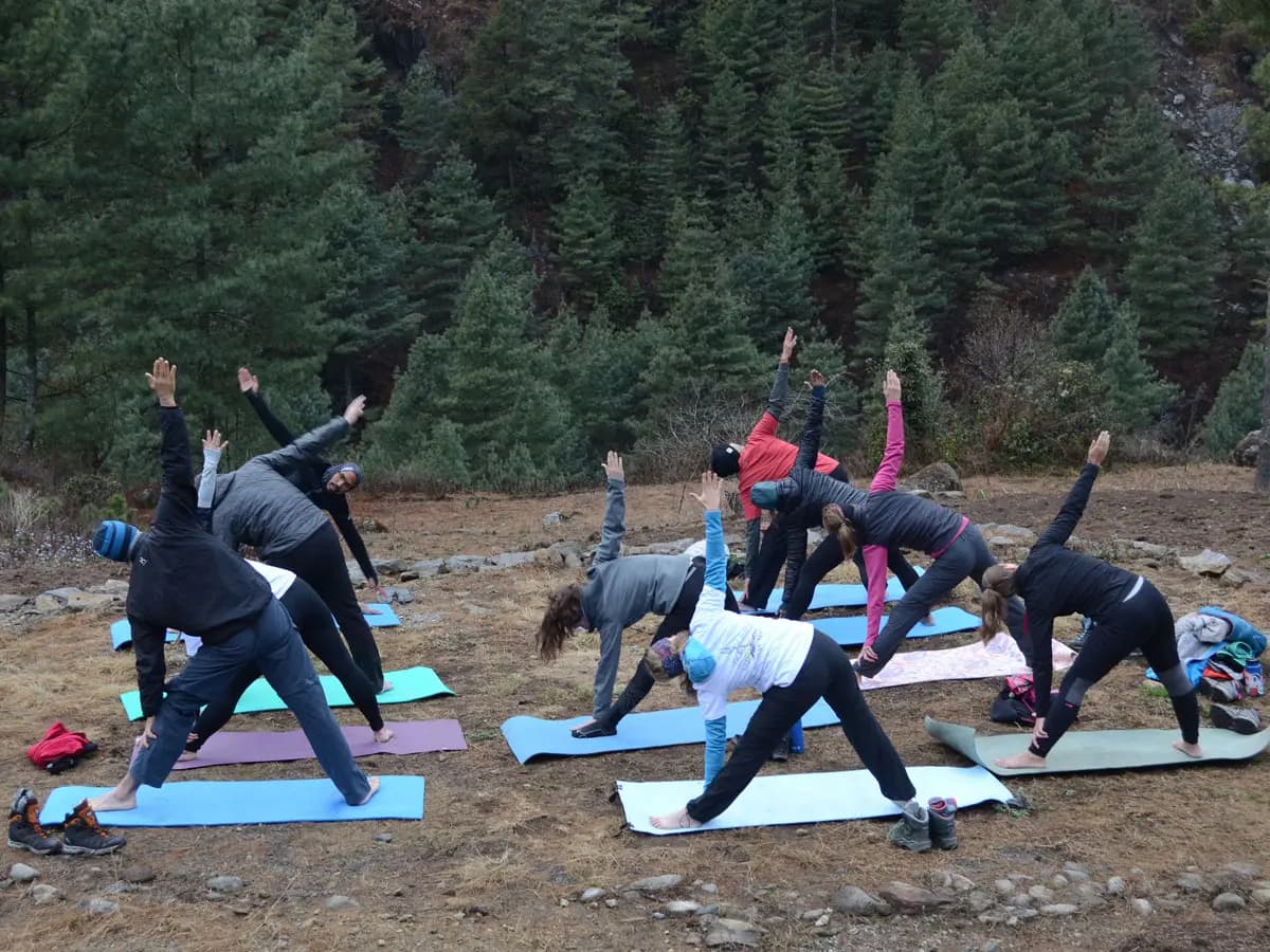 Group practicing yoga outdoors surrounded by pine trees during Short Everest Yoga Trek.