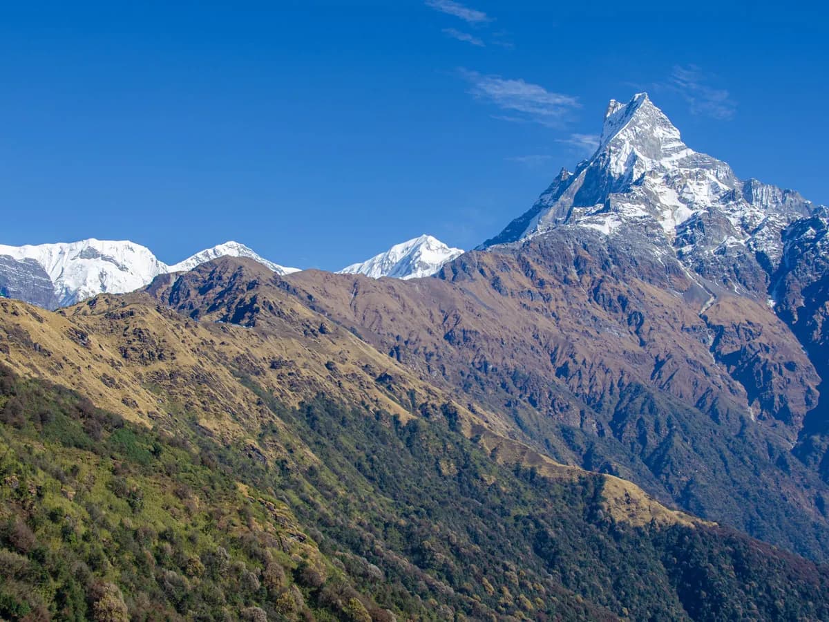 Panoramic view of Mount Machhapuchhre (Fishtail) and snow-capped Himalayan ridges under a clear blue sky during the Mardi Himal Trek.