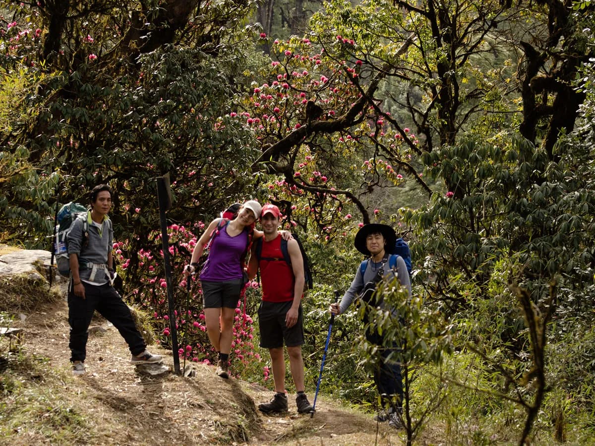 A group of happy hikers posing on a dirt trail surrounded by blooming red rhododendron trees in Nepal.
