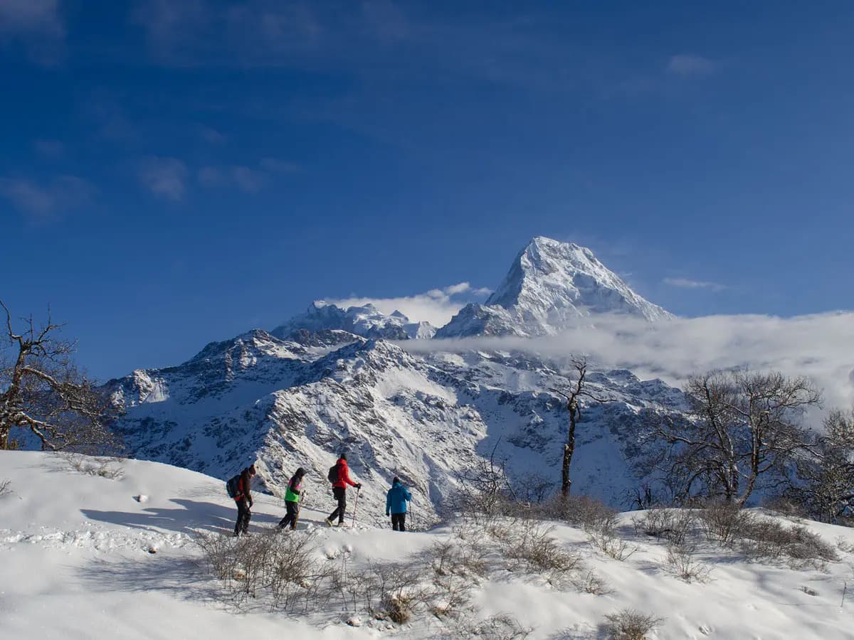 Trekkers walking on snowy Annapurna trail