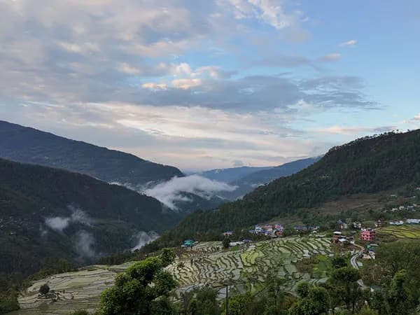 greenery village farming view