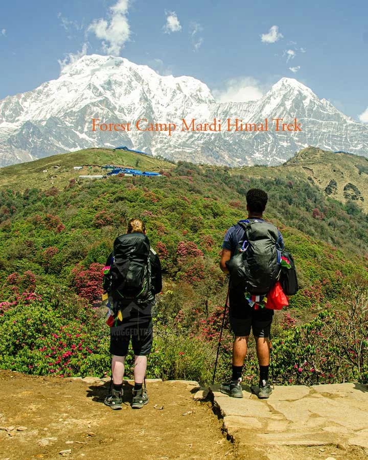 forest camp mardi himal trek in april