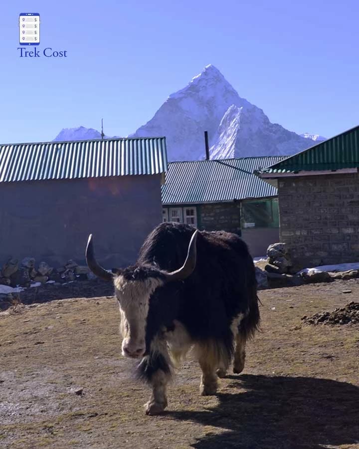 gokyo lake everest base camp trek cost.