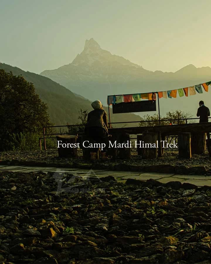 mardi himal trek booking from pokhara