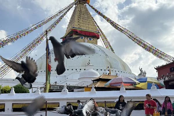 A swarm of pigeons flying in front of the white dome and golden spire of Boudhanath Stupa with colorful prayer flags radiating outward under a cloudy sky