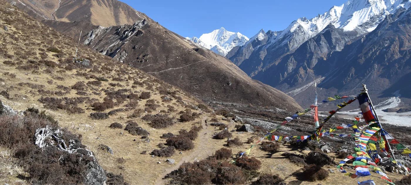 A dirt hiking trail lined with colorful Buddhist prayer flags leading toward snow-covered peaks in the Langtang region