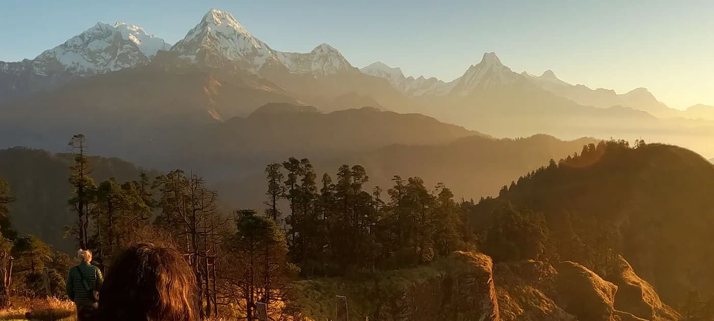 Golden morning sunlight illuminating snow-capped Himalayan mountain peaks above dark forested hills