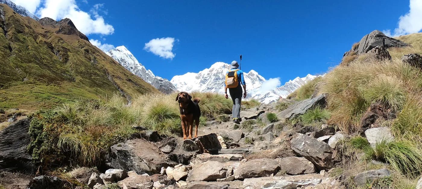 A trekker with a backpack hiking up a steep rocky trail accompanied by a mountain dog toward snow-covered peaks