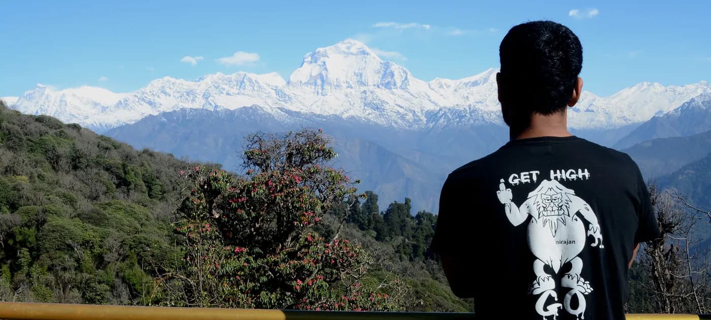 A man seen from behind wearing a black t-shirt standing on a lookout point facing the massive Dhaulagiri snow range under a blue sky