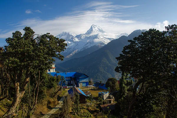 A mountain village settlement with bright blue-roofed lodges surrounded by lush green trees, set against the towering snow-covered peak of Annapurna South under a clear blue sky