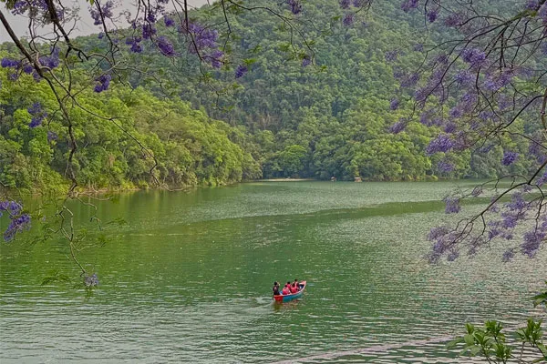 A red boat carrying passengers on green lake waters framed by blooming purple jacaranda flowers and lush green hills in Pokhara