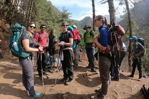 A group of trekkers wearing backpacks and holding trekking poles pausing to chat on a dirt trail surrounded by pine trees.