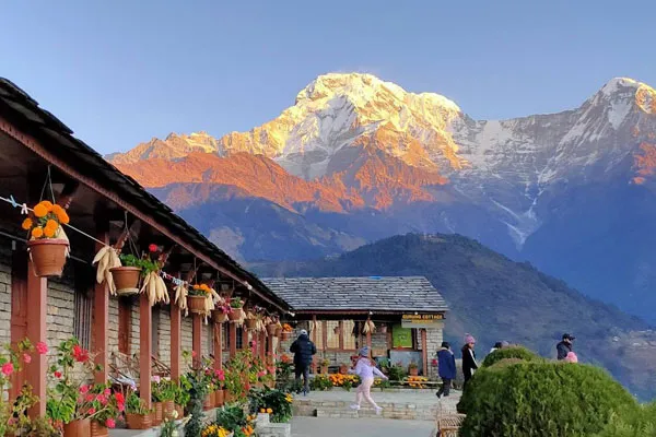 Traditional stone lodges in Ghandruk decorated with potted flowers, overlooking the sunlit peak of Annapurna South during golden hour.