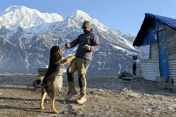 A trekker in warm gear playing with a friendly mountain dog outside a high-altitude teahouse with snow-capped Annapurna peaks in the background.