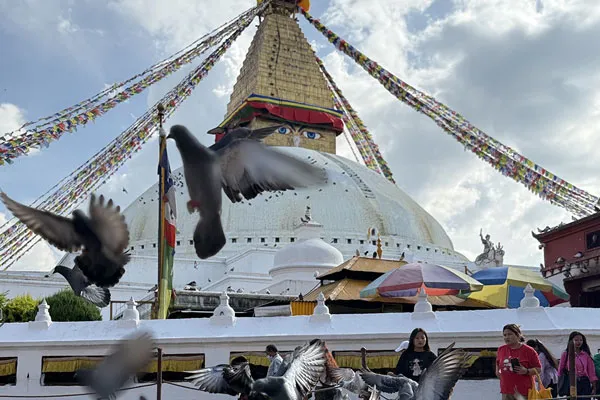 A swarm of pigeons flying in front of the white dome and golden spire of Boudhanath Stupa with colorful prayer flags radiating outward under a cloudy sky