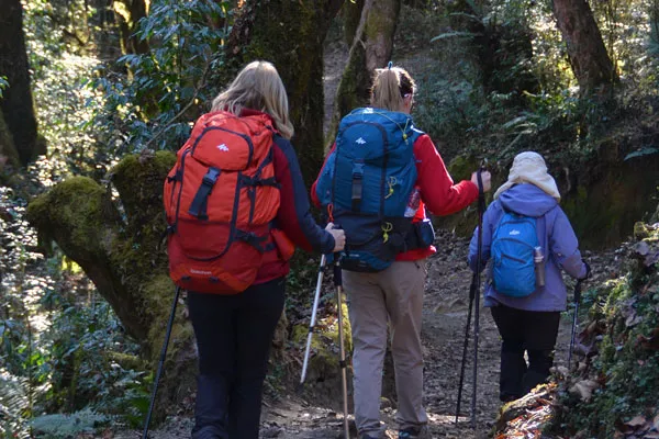 Group of three trekkers carrying heavy backpacks and using trekking poles hiking along a forest trail in Nepal.