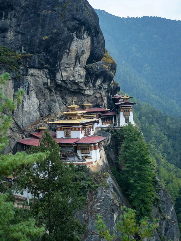 Vertical view of the Tiger's Nest Monastery perched on a rocky cliff surrounded by lush green pine forests in Bhutan.