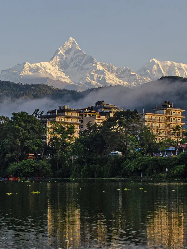 Pokhara lakeside city skyline with lush trees and snow capped Annapurna mountain range in background