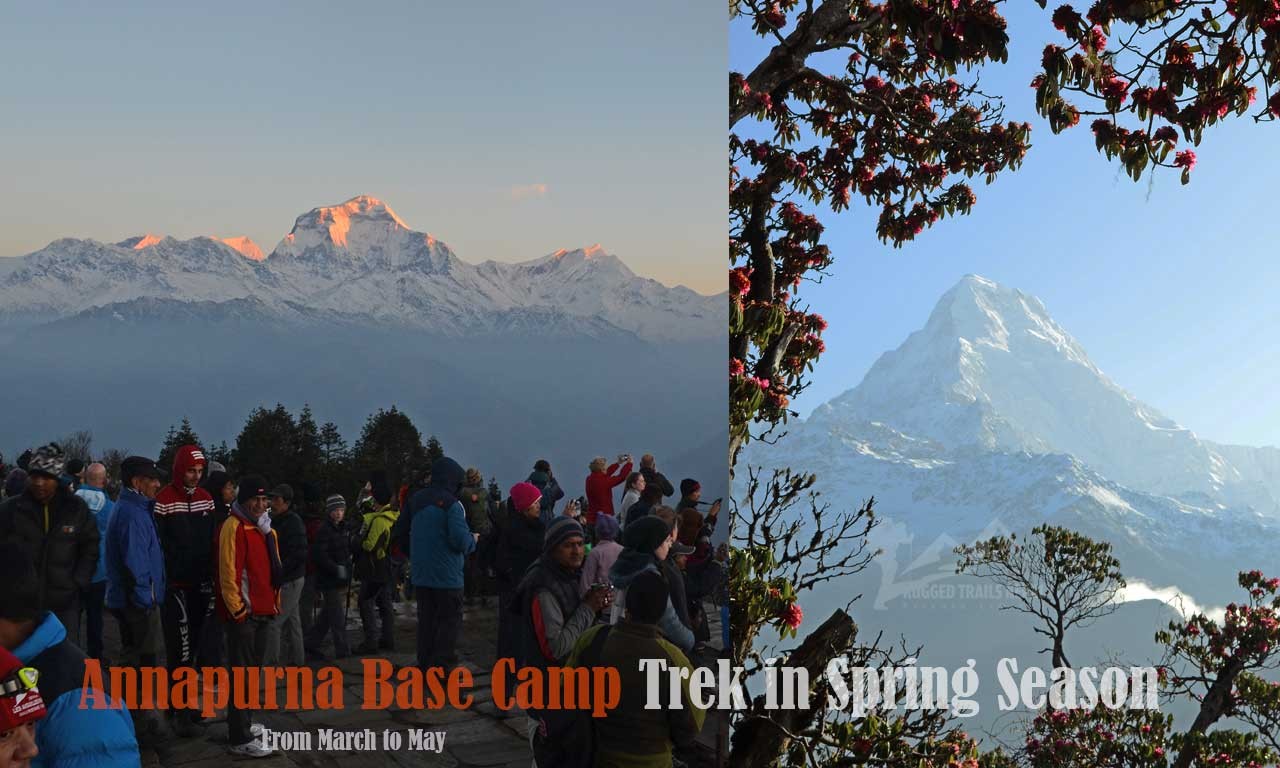 nepal annapurna base camp trek in spring season