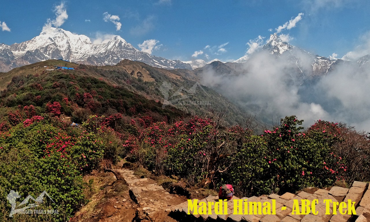 mardi himal viewpoint annapurna base camp trek from pokhara