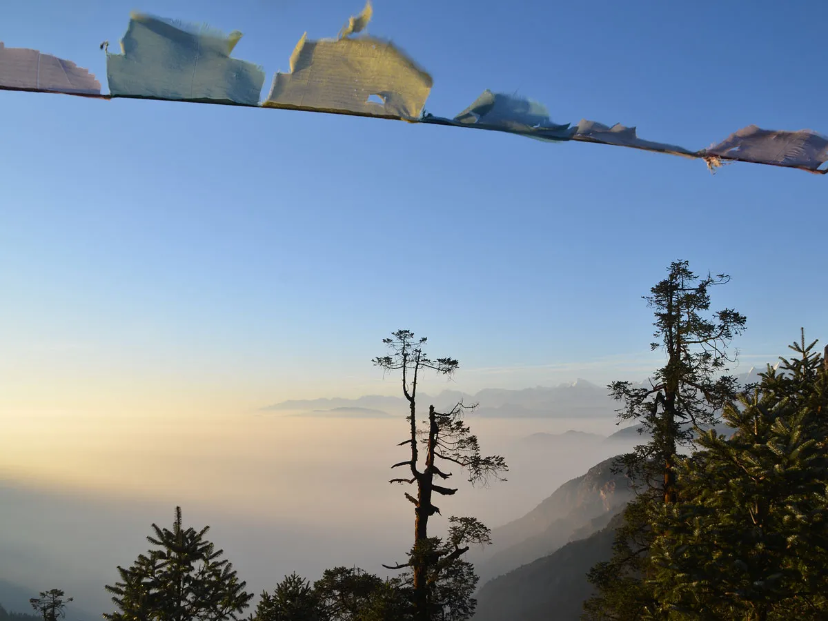 Buddhist prayer flags stretching across a clear blue sky over pine tree silhouettes and a golden sea of clouds concealing the valley below at sunset.