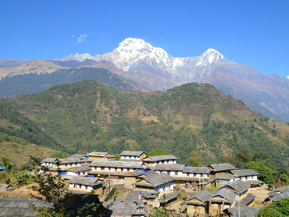 Traditional Ghandruk village roofs under the snow-capped Annapurna mountain range