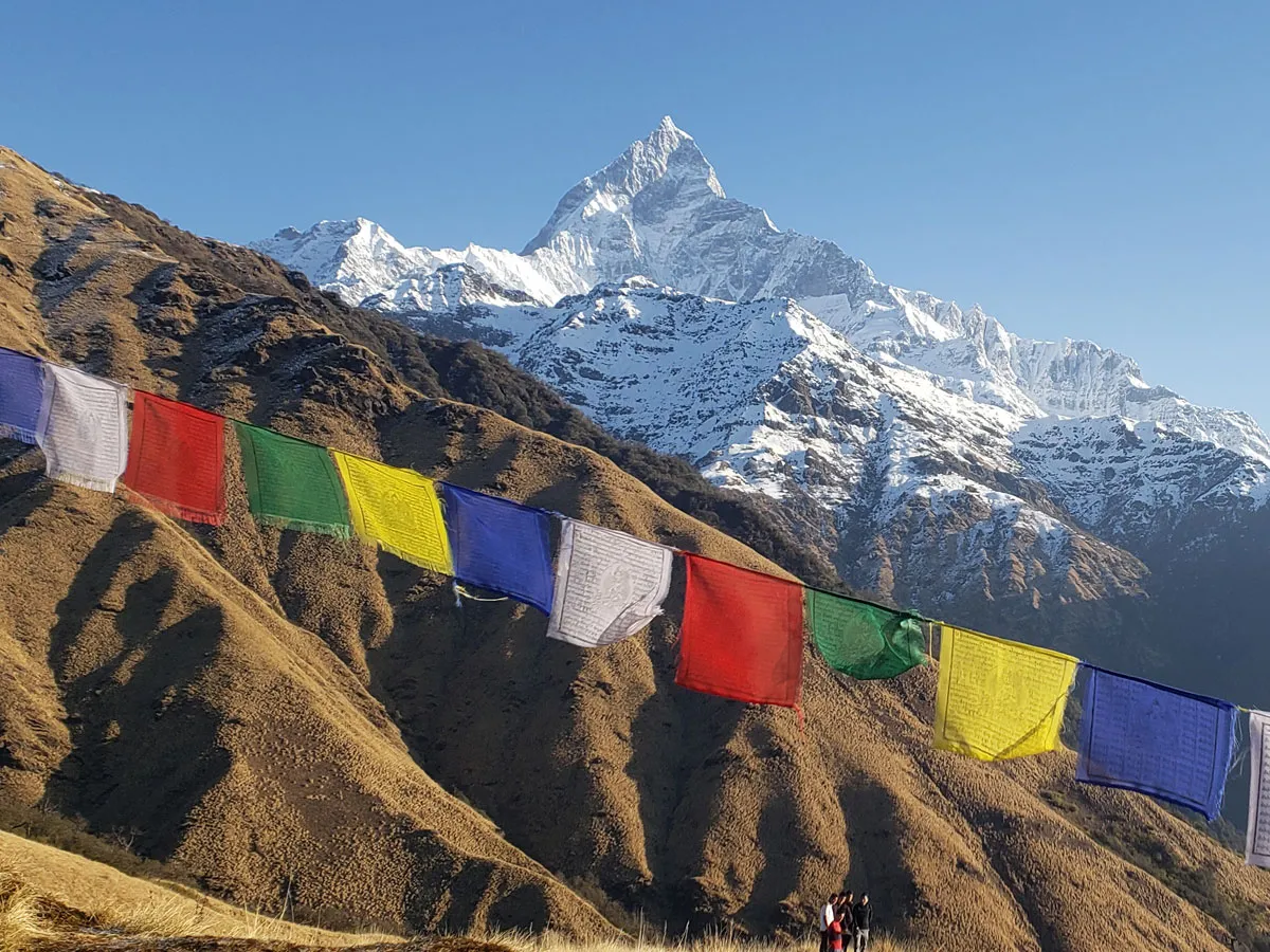 Colourful Buddhist prayer flags strung across a ridge with snow-capped Mount Machhapuchhre towering in the clear sky.