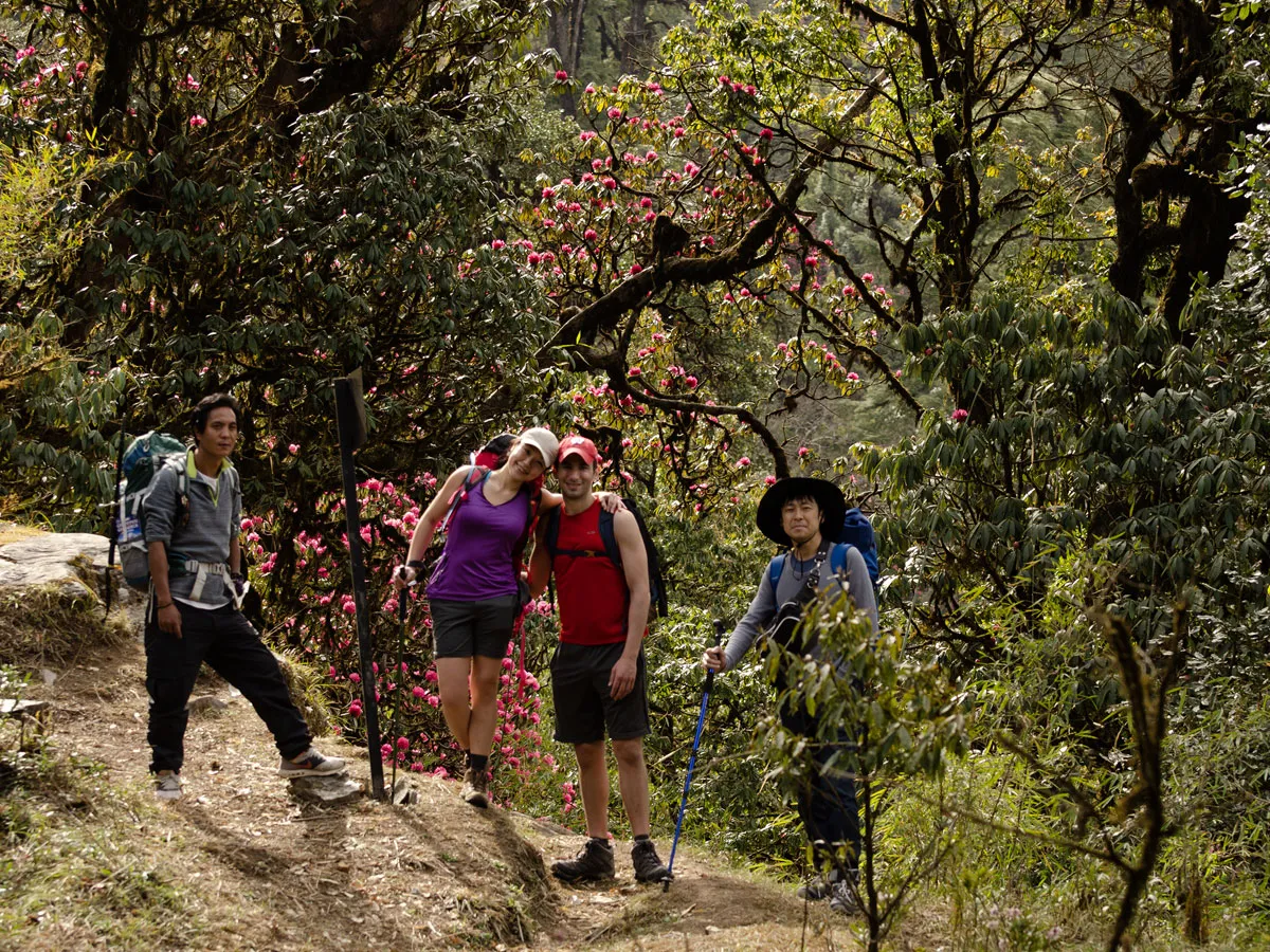 A group of happy hikers posing on a dirt trail surrounded by blooming red rhododendron trees in Nepal.