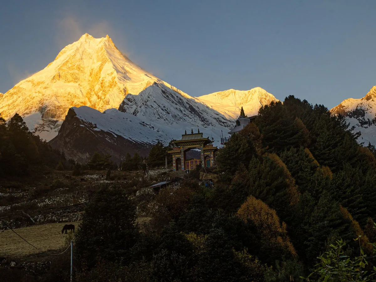 Golden sunlight illuminating Mount Manaslu peak behind a traditional monastery entrance gate and pine forest.