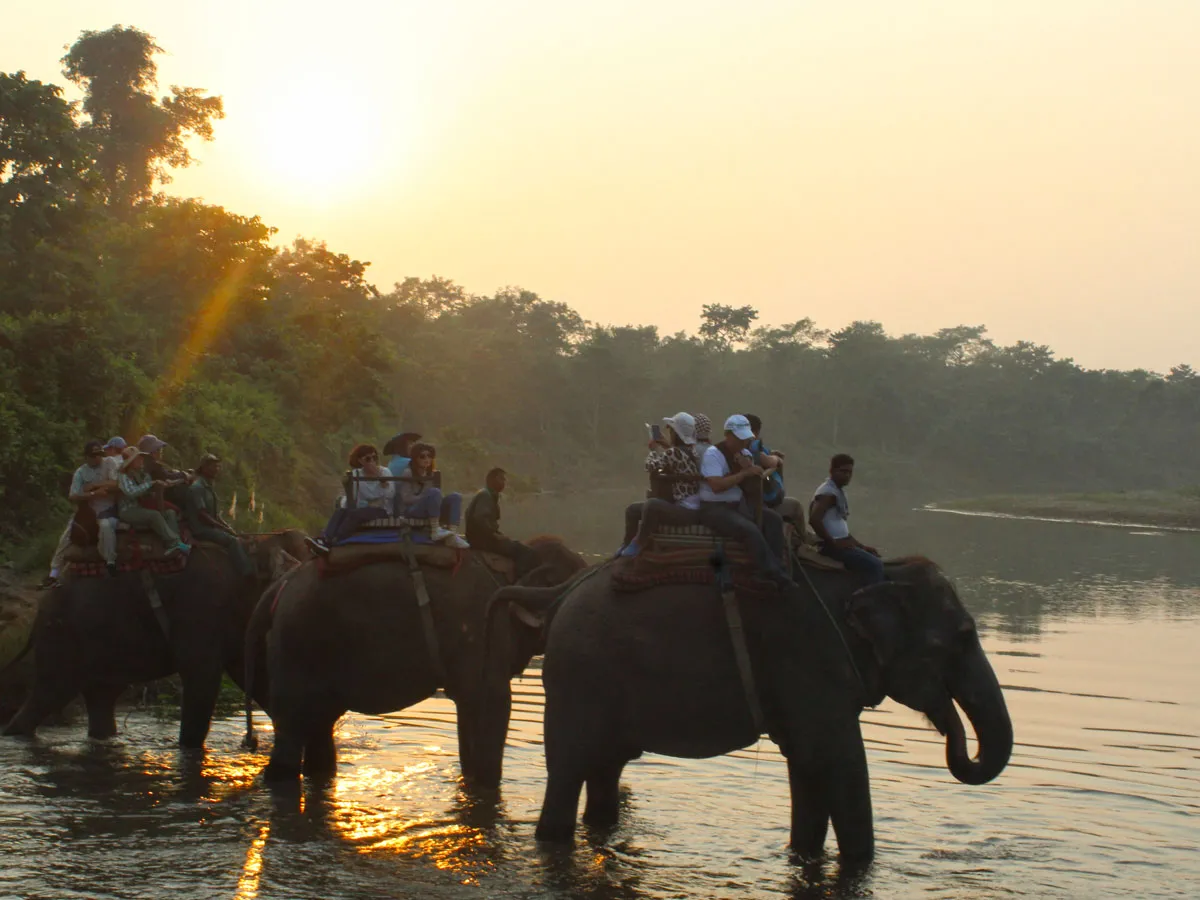 Tourists riding elephants crossing a river at golden hour during a jungle safari in Chitwan National Park, Nepal