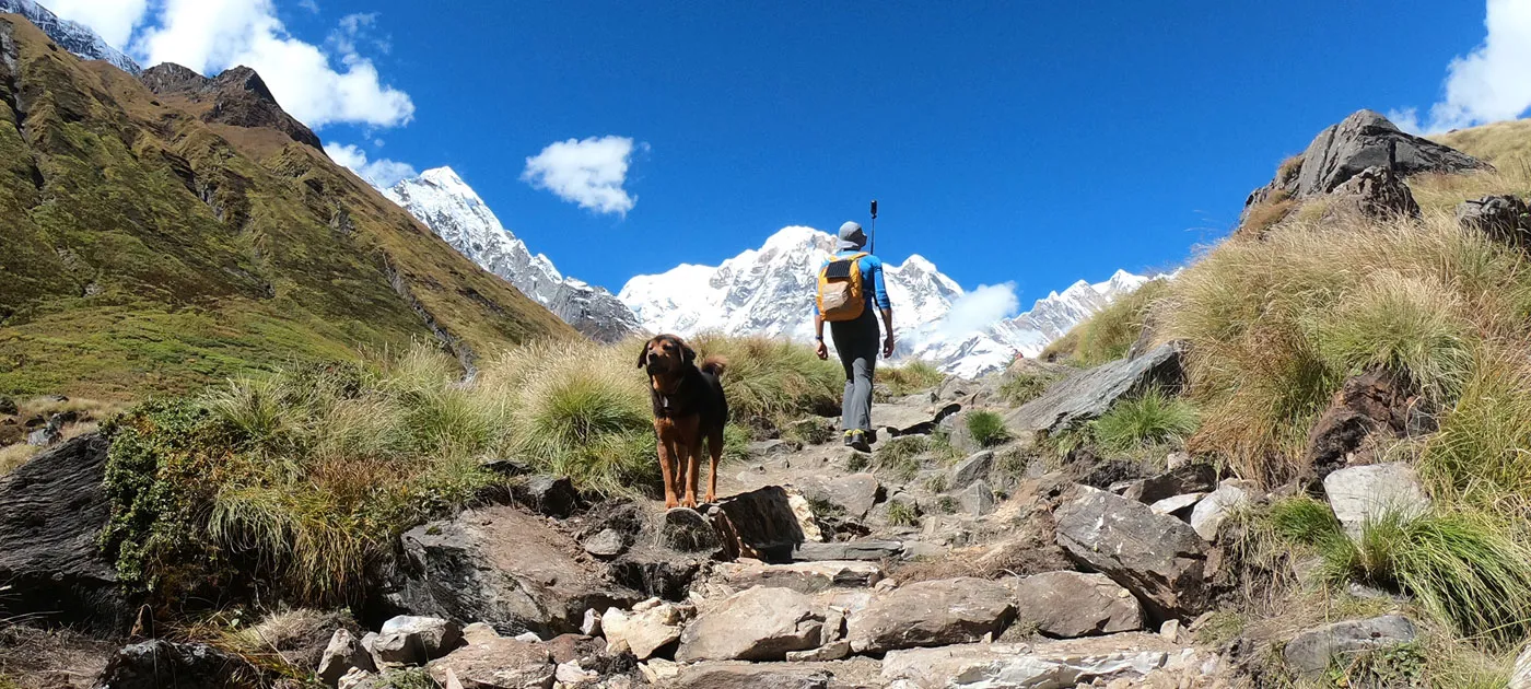 A trekker with a backpack hiking up a steep rocky trail accompanied by a mountain dog toward snow-covered peaks