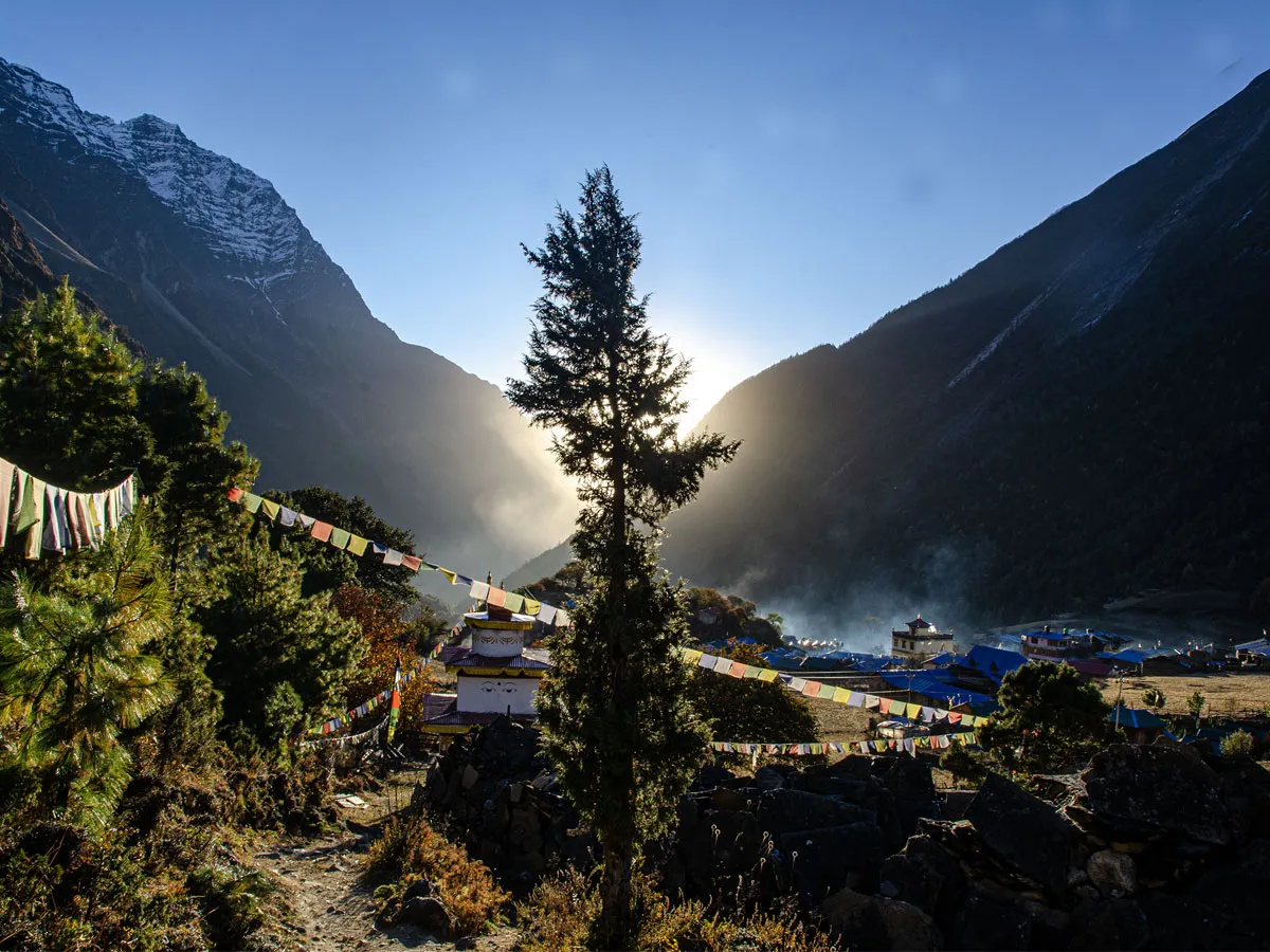 Morning sun flare breaking behind a tall pine tree, overlooking prayer flags, a stupa, and a distant Himalayan village