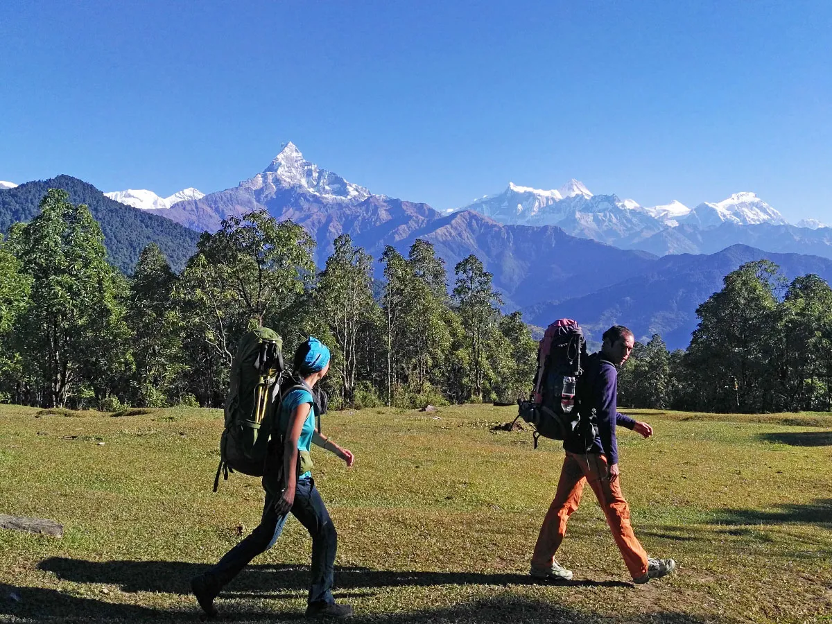 Two hikers carrying large backpacks walking across a green meadow with snowy Himalayan mountains behind them