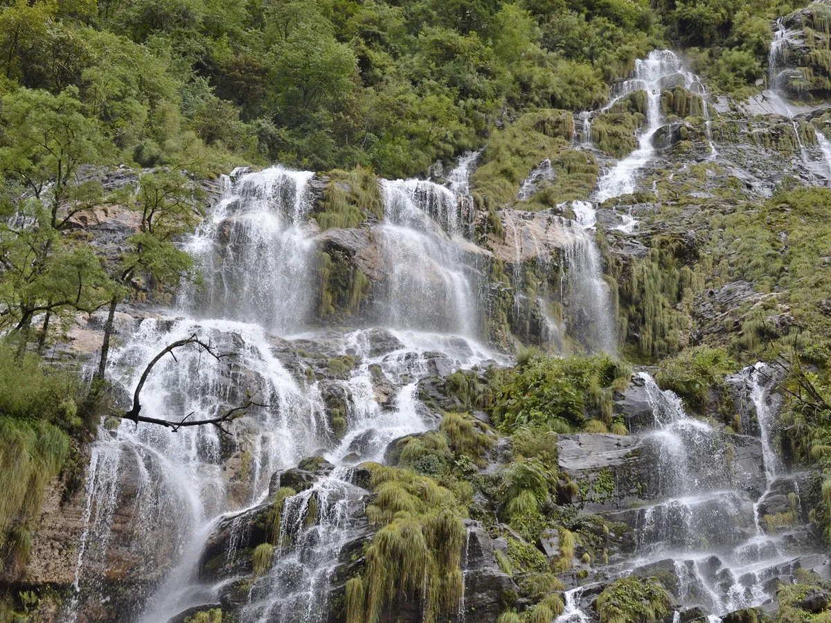 Cascading mountain waterfalls flowing down lush green rocky cliffs along the Annapurna Base Camp trekking trail in Nepal.