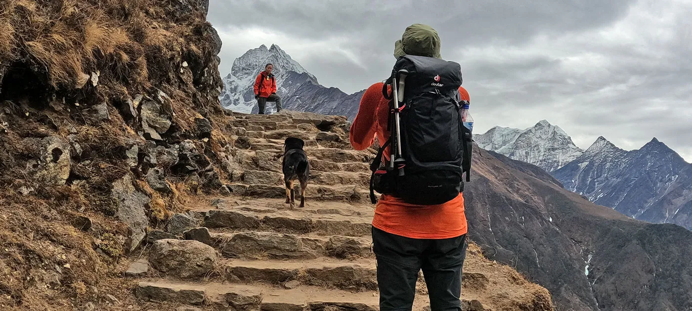 A trekker with a large backpack standing on steep stone steps leading up a cliffside path accompanied by a dog, with snow-capped Himalayan peaks behind.