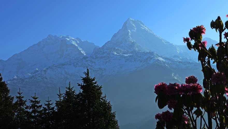 ghorepani annapurna base camp trek in spring