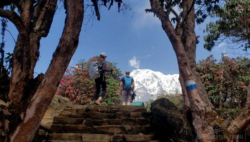 nepal mardi himal trek spring trek 4 days