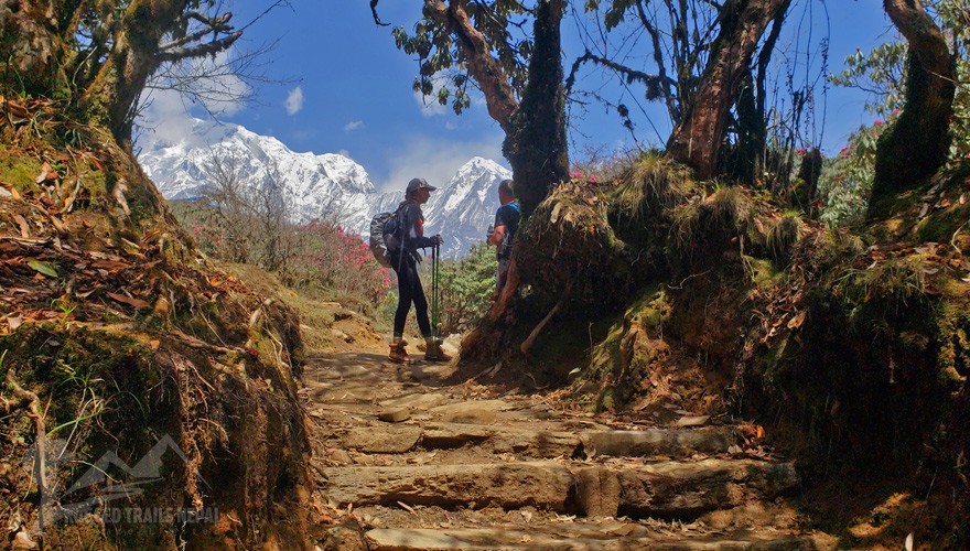 nepal trekking package mardi himal annapurna base camp