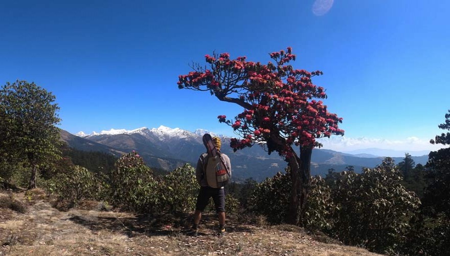 pikey peak spring season trek