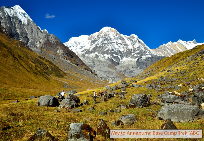 Annapurna South under a clear blue sky on the Annapurna Base Camp ABC trek