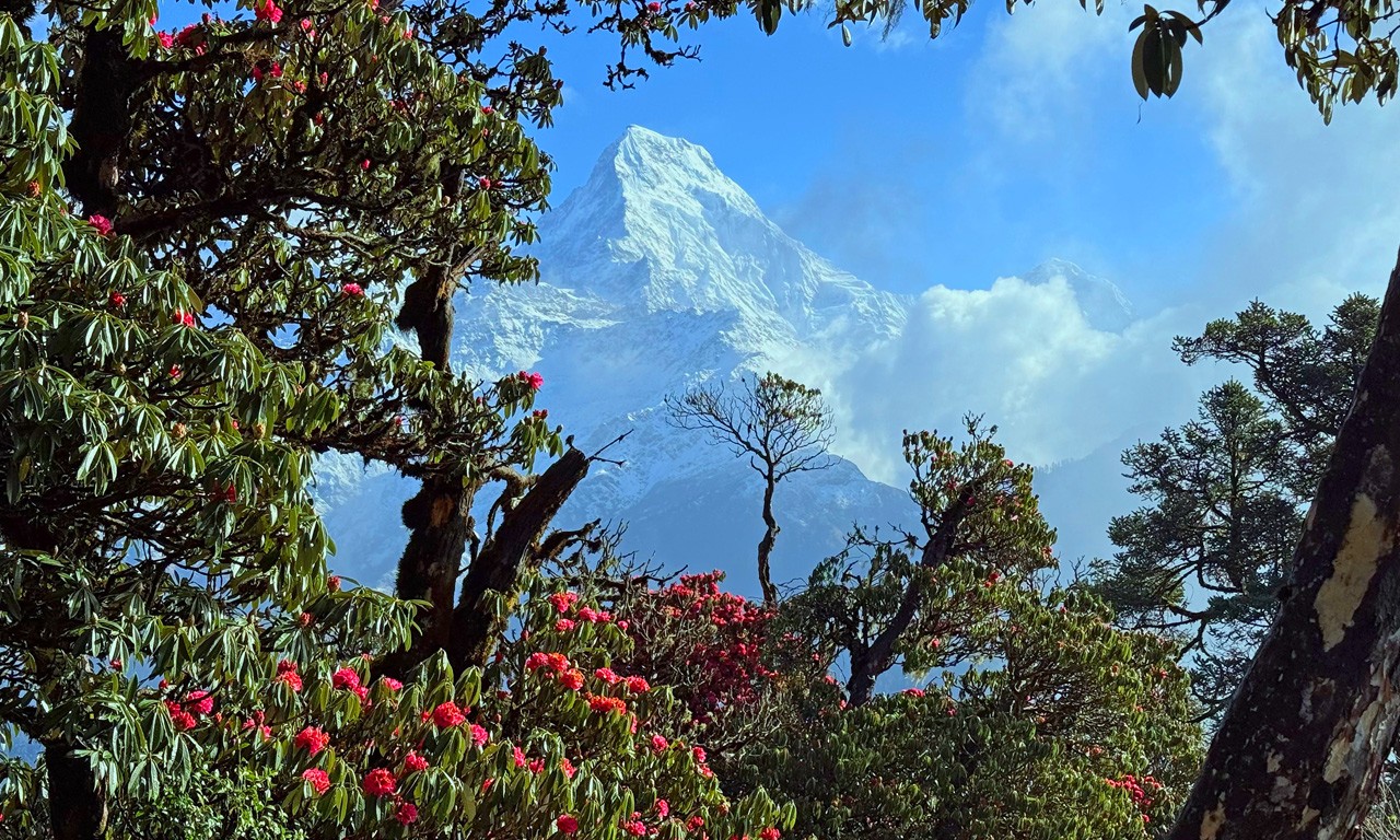 beautiful view from ghorepani during the spring seaon and the annapurna mountain