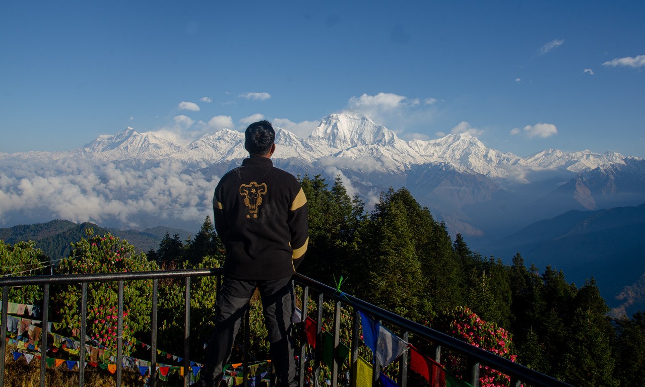 trekkers looking towards mt dhaulagiri ranges from poon hill