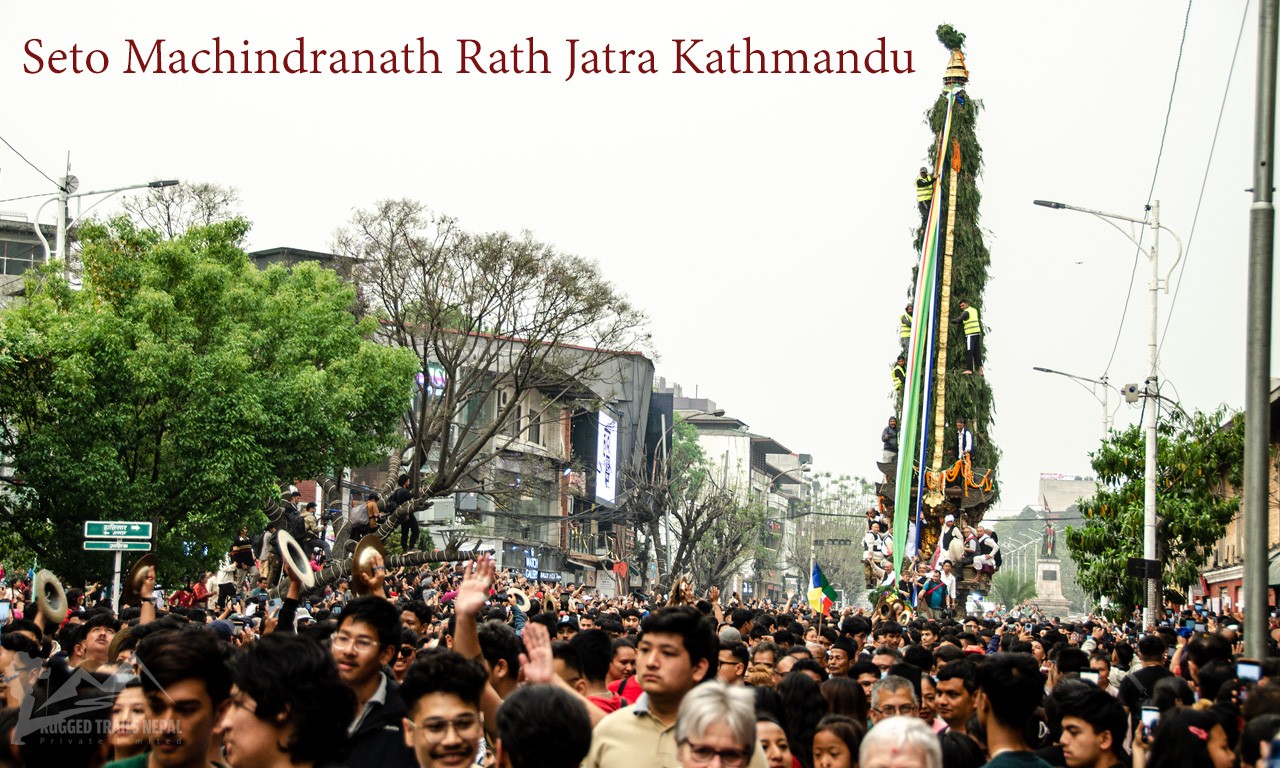 A towering 30-foot pine-covered chariot of Seto Machindranath being pulled through a dense crowd of devotees during the annual Rath Jatra festival in Kathmandu.