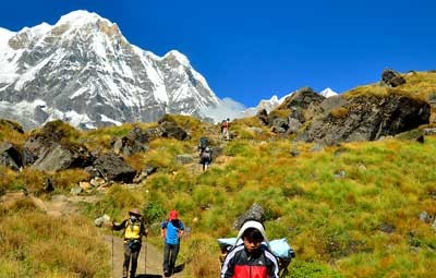 abc trek from pokhara