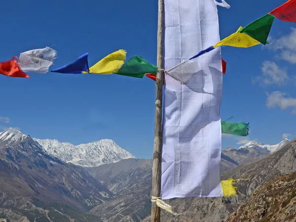 Colorful Buddhist prayer flags fluttering on a wooden pole against the snow-capped Himalayan mountains during the Annapurna Panoramic Trek in Nepal.