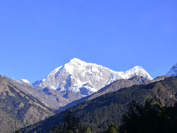 A magnificent snow-covered Himalayan peak towering under a clear blue sky, flanked by dark green forested foothills in the foreground